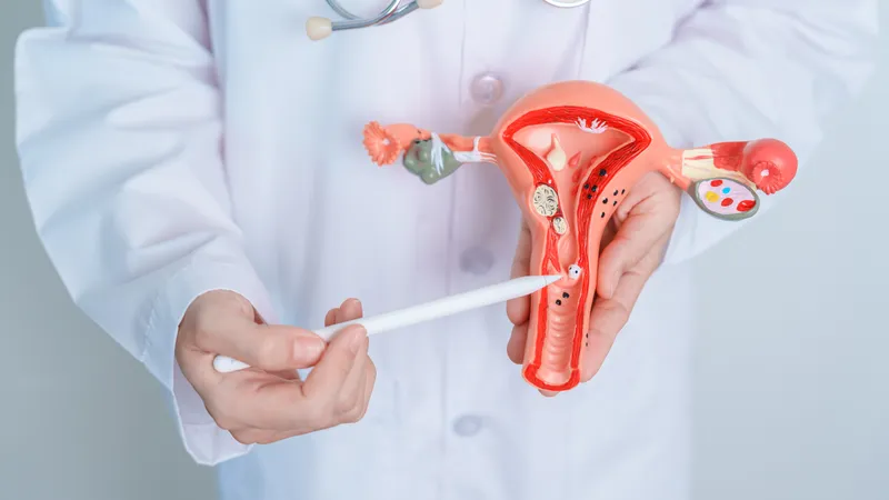 Doctor holding a model of the female reproductive system and pointing to the cervix to illustrate cervical cancer risk at any age