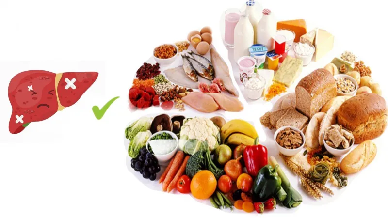 Primary Liver Cancer Assortment of healthy foods including vegetables, fruits, whole grains, and lean proteins recommended for liver cancer patients