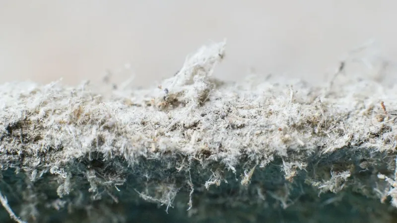 Close-up of asbestos fibers, a hazardous material linked to lung cancer risk