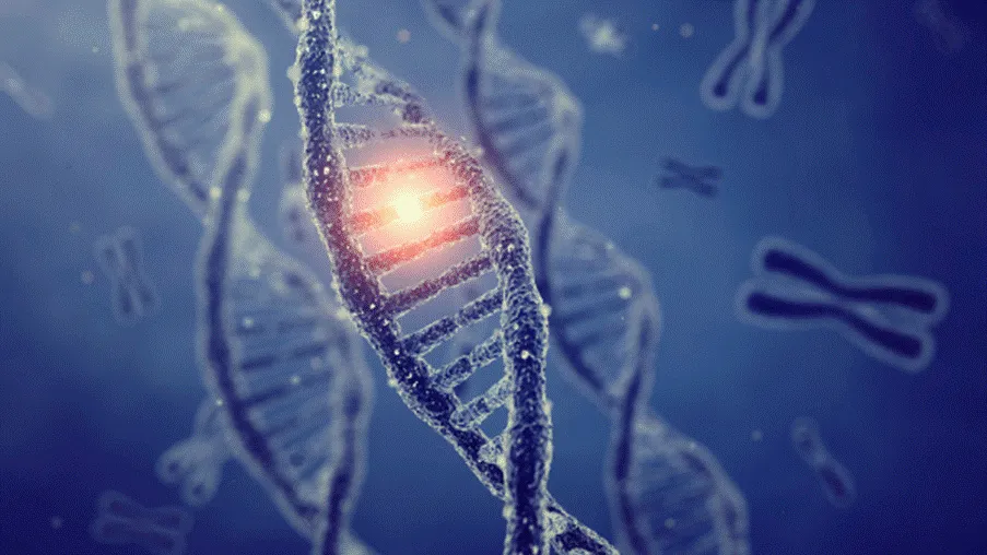 DNA strand with mutation highlighted, representing genetic changes that can lead to liposarcoma