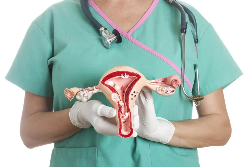 Gynecologist holding a uterus model to emphasize the importance of regular checkups for early detection of endometrial cancer