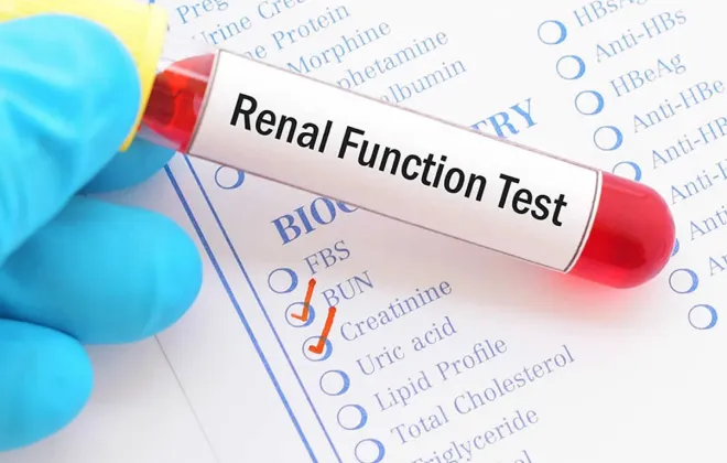 What Do Kidney Function Tests Include and What Do They Mean? Blood sample labeled renal function test on kidney test panel