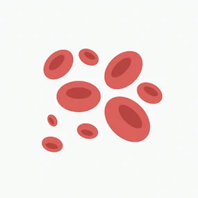 blood disorders overview