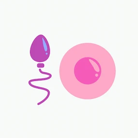 reproductive health guide