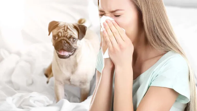 Homepage Respiratory Allergy