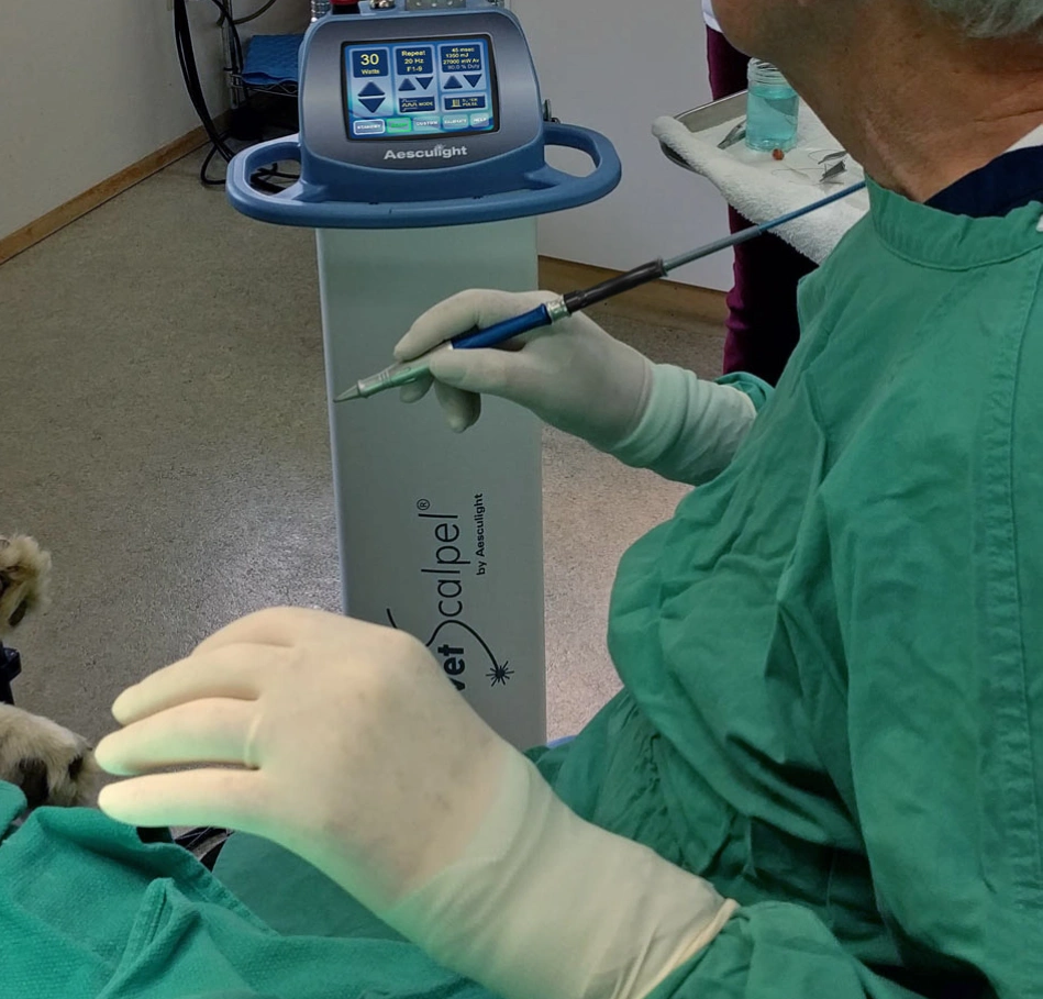Voice Disorders A surgeon performing CO2 laser microsurgery using a surgical microscope to treat laryngeal lesions and vocal cord disorders